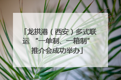 龙拱港（西安）多式联运 “一单制、一箱制” 推介会成功举办