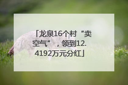 龙泉16个村“卖空气”，领到12.4192万元分红