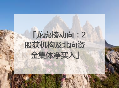 龙虎榜动向：2股获机构及北向资金集体净买入