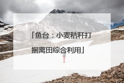 鱼台：小麦秸秆打捆离田综合利用