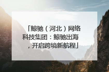 鲸驰（河北）网络科技集团：鲸驰出海，开启跨境新航程