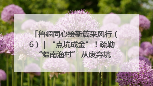 鲁疆同心绘新篇采风行（6）｜“点坑成金”！疏勒 “疆南渔村” 从废弃坑塘变身全国垂钓胜地