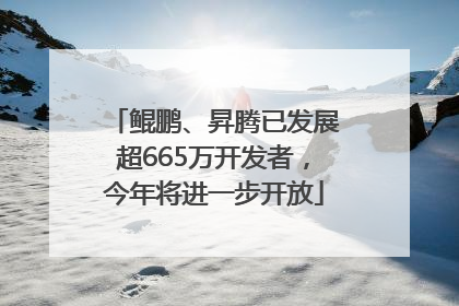 鲲鹏、昇腾已发展超665万开发者，今年将进一步开放