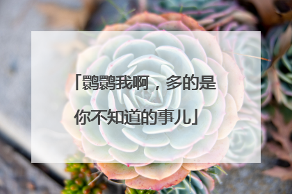 鹮鹮我啊，多的是你不知道的事儿