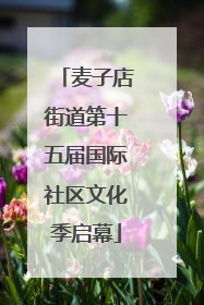麦子店街道第十五届国际社区文化季启幕