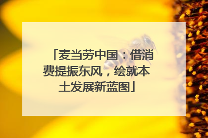 麦当劳中国：借消费提振东风，绘就本土发展新蓝图