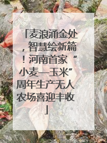 麦浪涌金处，智慧绘新篇！河南首家“小麦—玉米”周年生产无人农场喜迎丰收