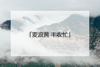 麦浪黄 丰收忙