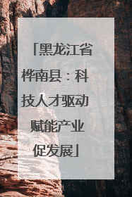 黑龙江省桦南县：科技人才驱动 赋能产业促发展