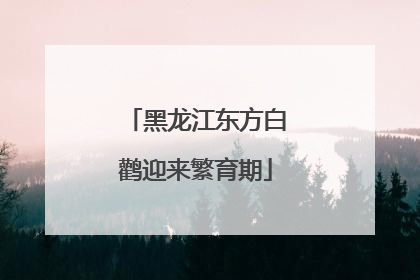 黑龙江东方白鹳迎来繁育期