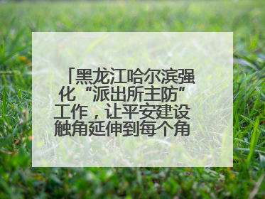 黑龙江哈尔滨强化“派出所主防”工作，让平安建设触角延伸到每个角落……