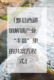 黟县西递镇解锁产业“丰景”里的共富方程式