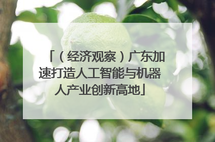 （经济观察）广东加速打造人工智能与机器人产业创新高地