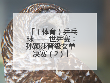 （体育）乒乓球——世乒赛：孙颖莎晋级女单决赛（2）