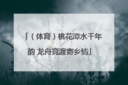 （体育）桃花潭水千年韵 龙舟竞渡寄乡情