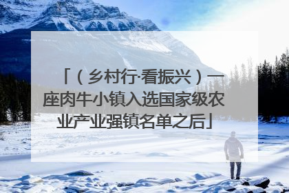 （乡村行·看振兴）一座肉牛小镇入选国家级农业产业强镇名单之后