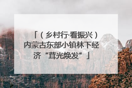 （乡村行·看振兴）内蒙古东部小镇林下经济“茸光焕发”