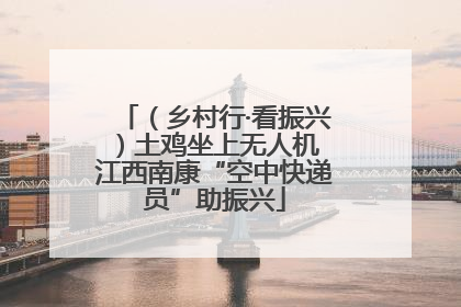 （乡村行·看振兴）土鸡坐上无人机 江西南康“空中快递员”助振兴