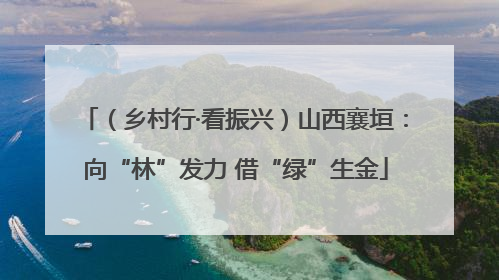 （乡村行·看振兴）山西襄垣：向“林”发力 借“绿”生金