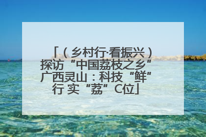 （乡村行·看振兴）探访“中国荔枝之乡”广西灵山：科技“鲜”行 实“荔”C位