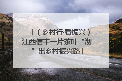 （乡村行·看振兴）江西信丰一片茶叶“沏”出乡村振兴路