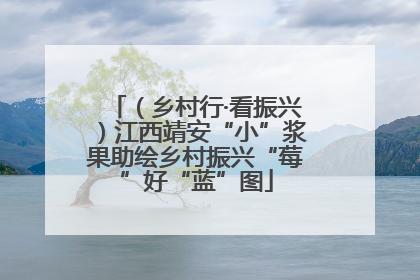 （乡村行·看振兴）江西靖安“小”浆果助绘乡村振兴“莓”好“蓝”图