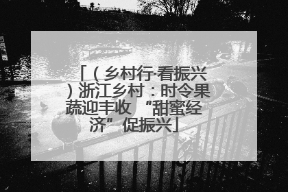 （乡村行·看振兴）浙江乡村：时令果蔬迎丰收 “甜蜜经济”促振兴