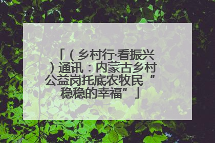 （乡村行·看振兴）通讯：内蒙古乡村公益岗托底农牧民“稳稳的幸福”