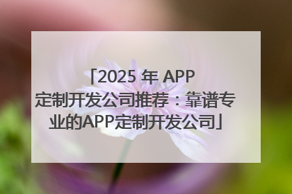 2025 年 APP 定制开发公司推荐：靠谱专业的APP定制开发公司