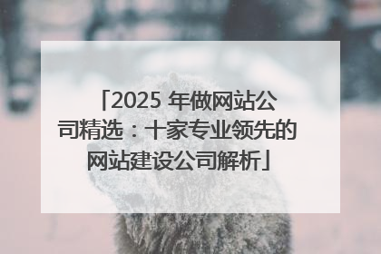 2025 年做网站公司精选：十家专业领先的网站建设公司解析