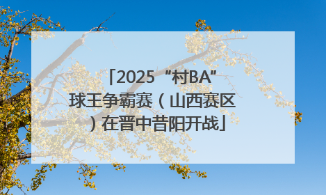 2025“村BA”球王争霸赛（山西赛区）在晋中昔阳开战