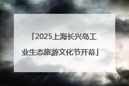 2025上海长兴岛工业生态旅游文化节开幕