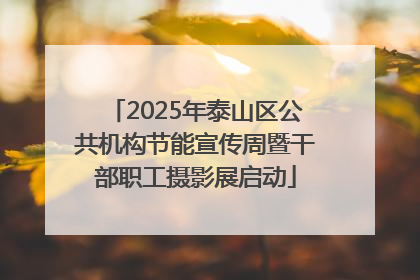 2025年泰山区公共机构节能宣传周暨干部职工摄影展启动