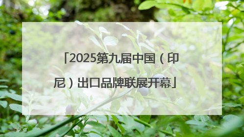 2025第九届中国（印尼）出口品牌联展开幕