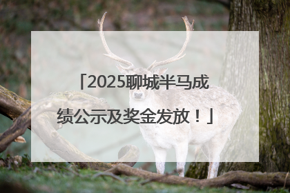 2025聊城半马成绩公示及奖金发放！