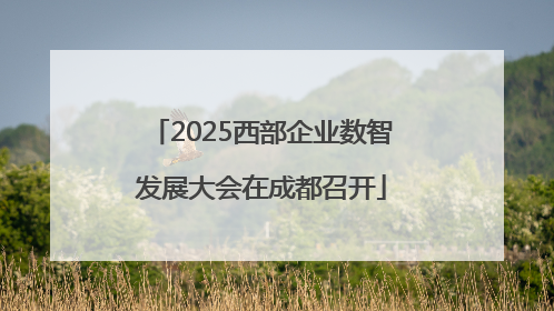2025西部企业数智发展大会在成都召开