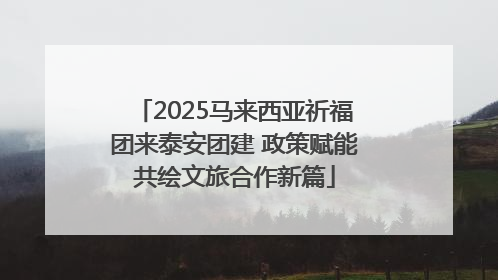 2025马来西亚祈福团来泰安团建 政策赋能共绘文旅合作新篇