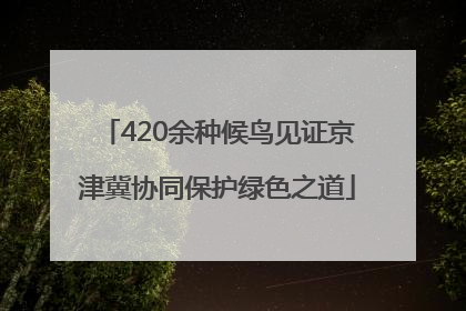 420余种候鸟见证京津冀协同保护绿色之道
