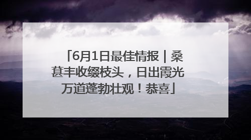 6月1日最佳情报｜桑葚丰收缀枝头，日出霞光万道蓬勃壮观！恭喜
