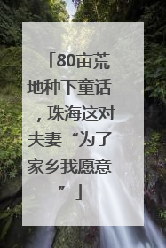 80亩荒地种下童话，珠海这对夫妻“为了家乡我愿意”