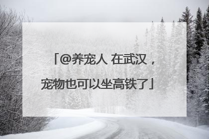 @养宠人 在武汉，宠物也可以坐高铁了