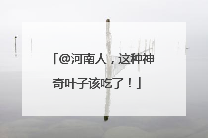@河南人，这种神奇叶子该吃了！