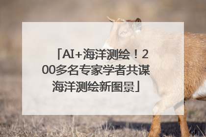 AI+海洋测绘！200多名专家学者共谋海洋测绘新图景