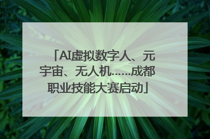 AI虚拟数字人、元宇宙、无人机……成都职业技能大赛启动