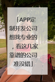 APP定制开发公司想找专业的，看这几家靠谱的公司准没错