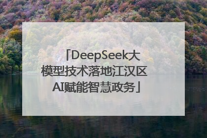 DeepSeek大模型技术落地江汉区 AI赋能智慧政务